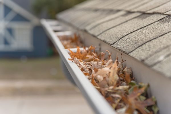 Leaf Barrier Installation in Spotsylvania