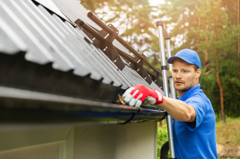 Gutter Maintenance Technicians